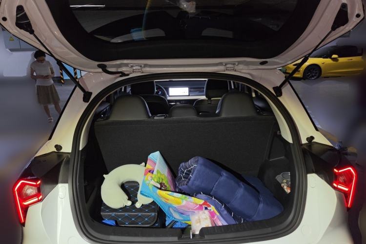 Used Geometry E Firefly 2024 301km Starlight Trunk