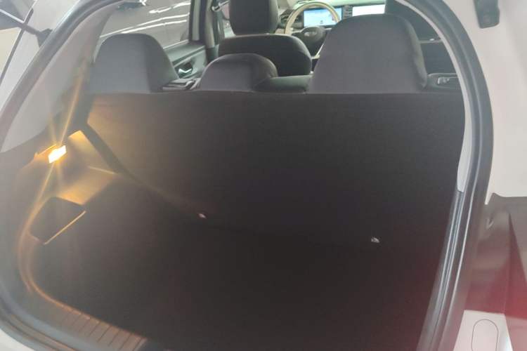 Used Geometry E Firefly 2024 401 km Fluorescent Trunk