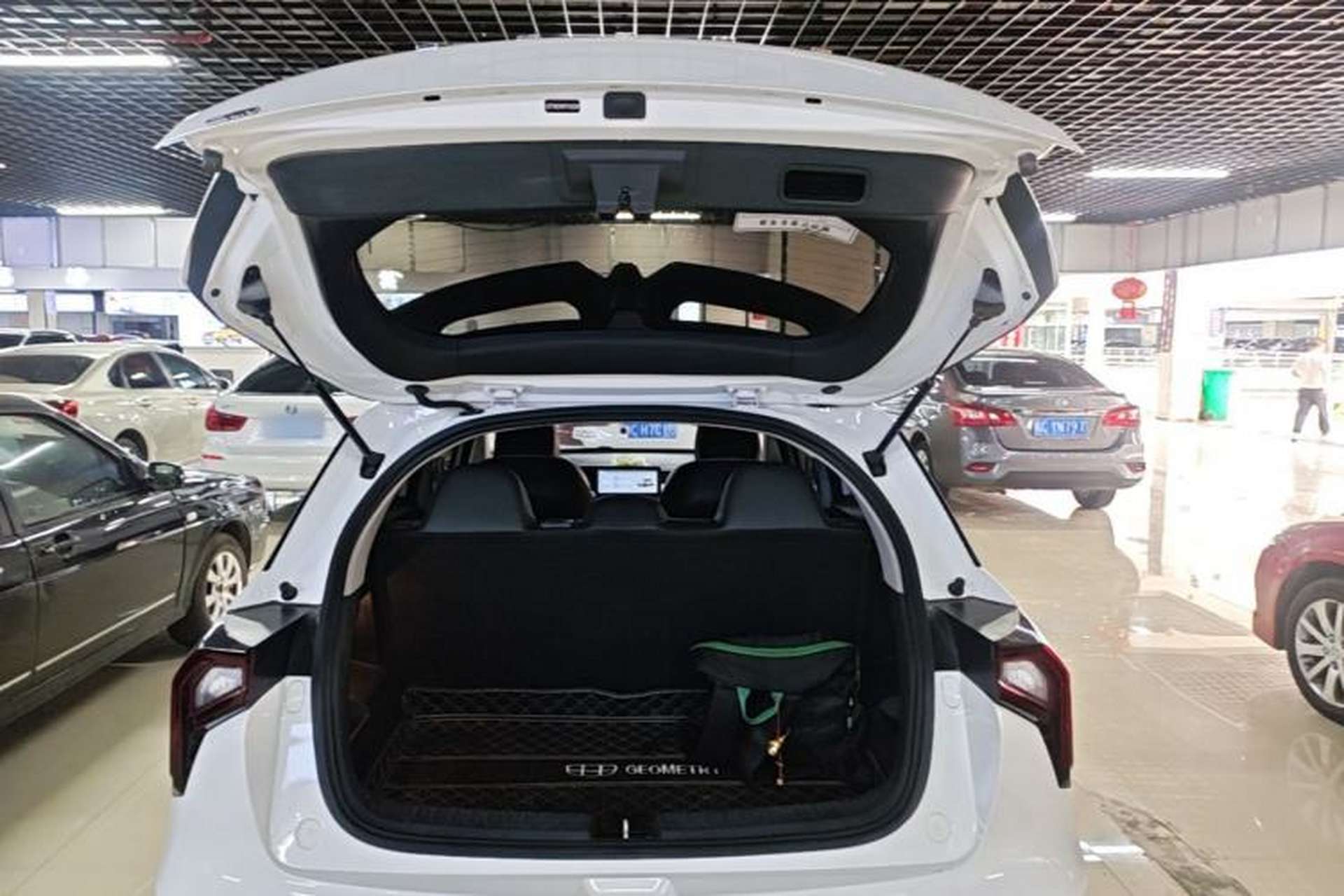 Used Geometry E Firefly 2024 401 km Fluorescent Trunk
