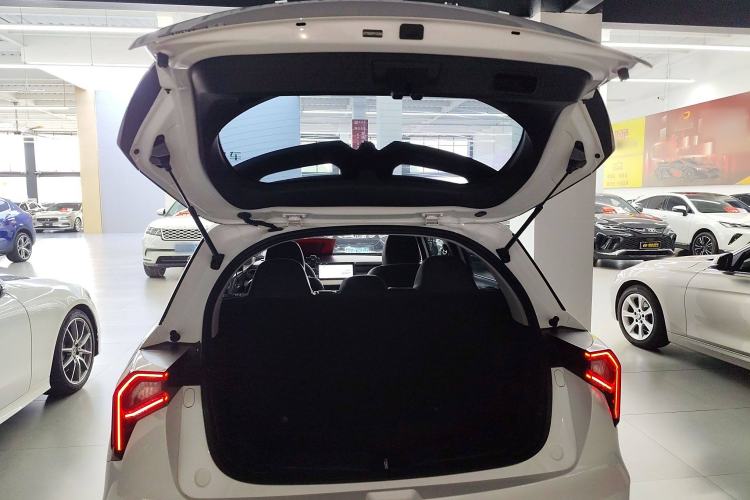 Used Geometry E Firefly 2024 301km Starlight Trunk