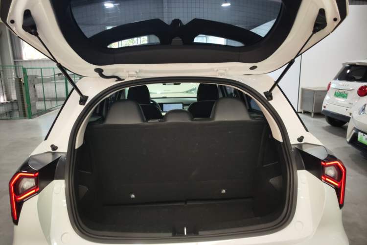 Used Geometry E Firefly 2024 301km Starlight Trunk