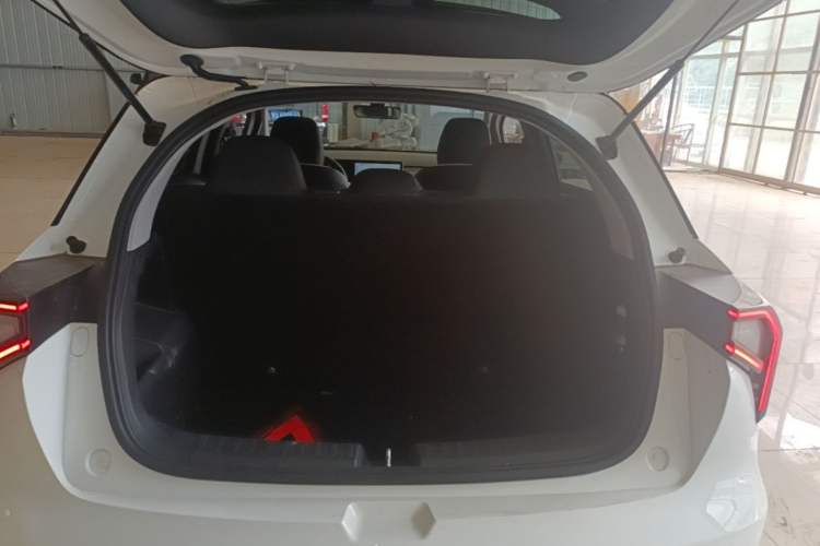 Used Geometry E Firefly 2024 301km Starlight Trunk