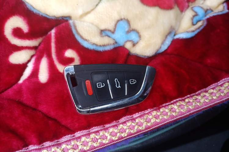 Used Geometry E Firefly 2024 301km Flowing Light Vehicle Key
