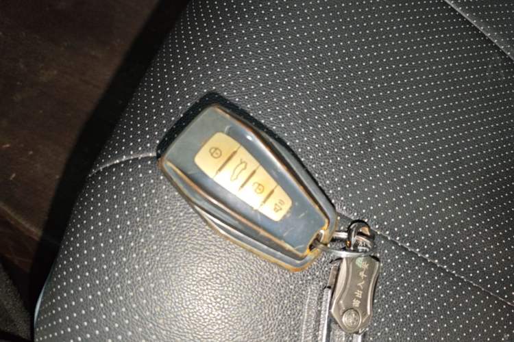 Used Geometry E Firefly 2024 301km Flowing Light Vehicle Key