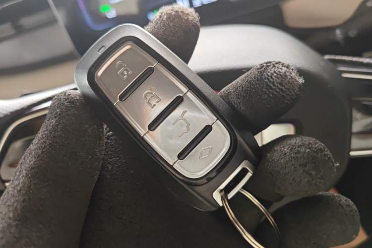 Used Geometry E Firefly 2024 301km Flowing Light Vehicle Key