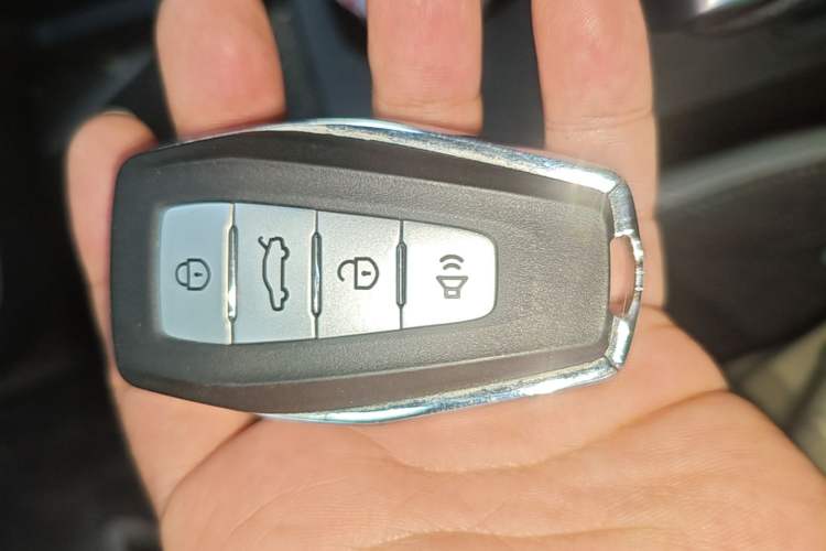 Used Geometry E Firefly 2024 301km Flowing Light Vehicle Key
