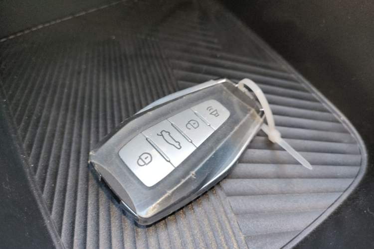 Used Geometry E Firefly 2024 401 km Fluorescent Vehicle Key