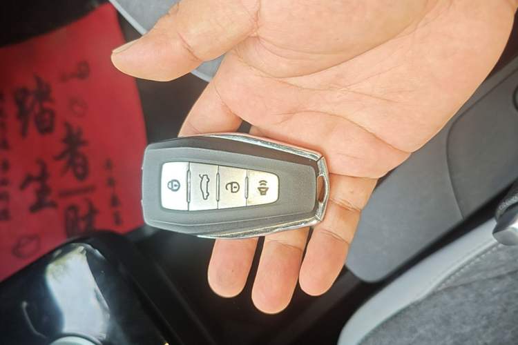 Used Geometry E Firefly 2024 301km Flowing Light Vehicle Key