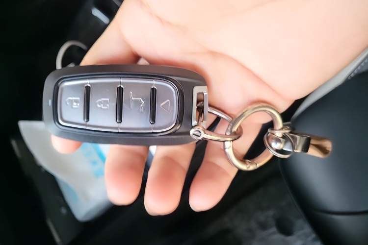 Used Geometry E Firefly 2024 401km Starlight Vehicle Key