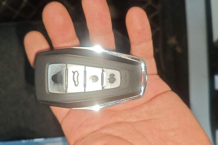 Used Geometry E Firefly 2024 301km Flowing Light Vehicle Key