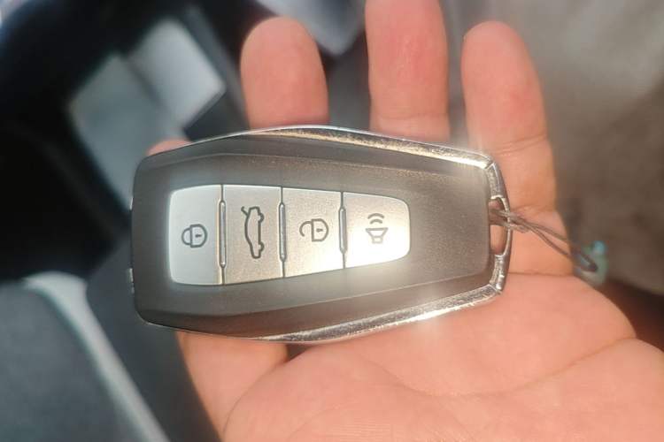 Used Geometry E Firefly 2024 301km Flowing Light Vehicle Key