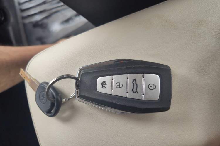 Used Geometry E Firefly 2024 401 km Fluorescent Vehicle Key