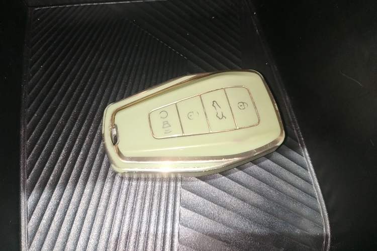 Used Geometry E Firefly 2024 401km Starlight Vehicle Key