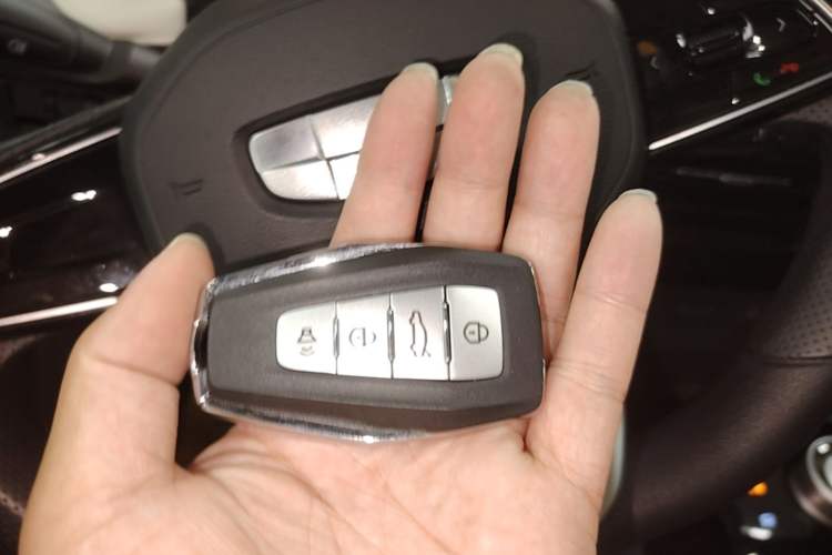 Used Geometry E Firefly 2024 301km Flowing Light Vehicle Key