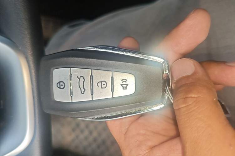 Used Geometry E Firefly 2024 301km Flowing Light Vehicle Key