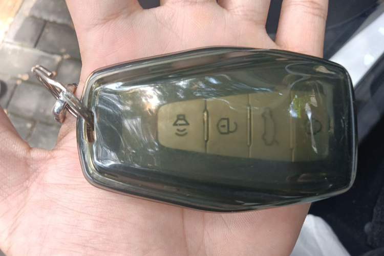 Used Geometry E Firefly 2024 301km Longteng Edition Vehicle Key