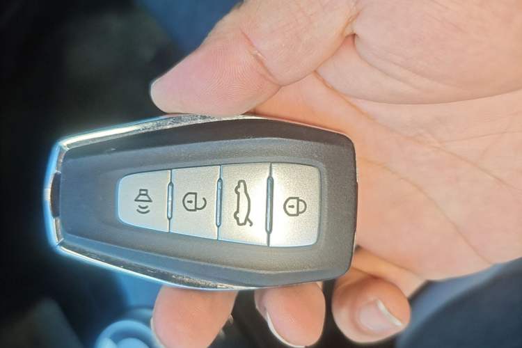 Used Geometry E Firefly 2024 301km Flowing Light Vehicle Key