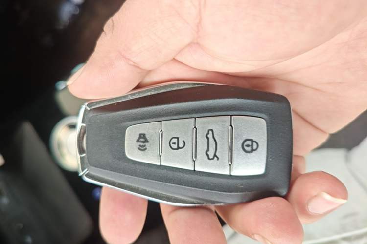 Used Geometry E Firefly 2024 301km Flowing Light Vehicle Key
