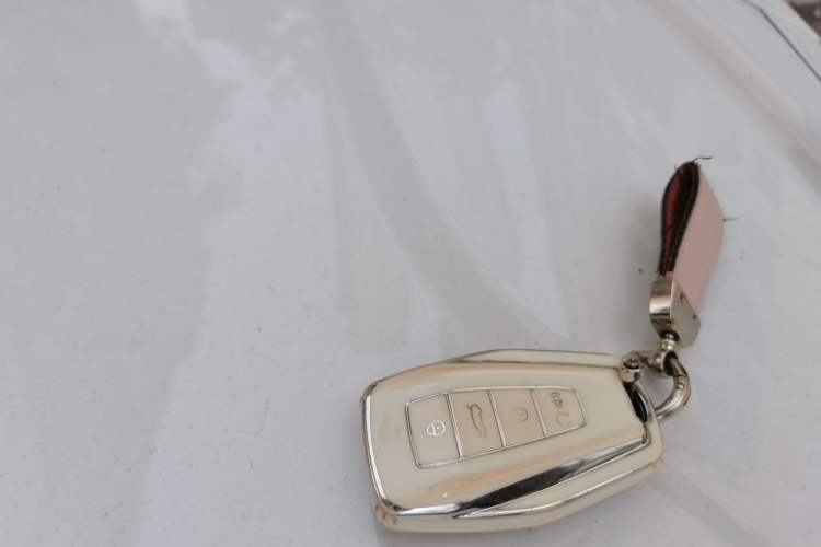 Used Geometry E Firefly 2024 301km Starlight Vehicle Key