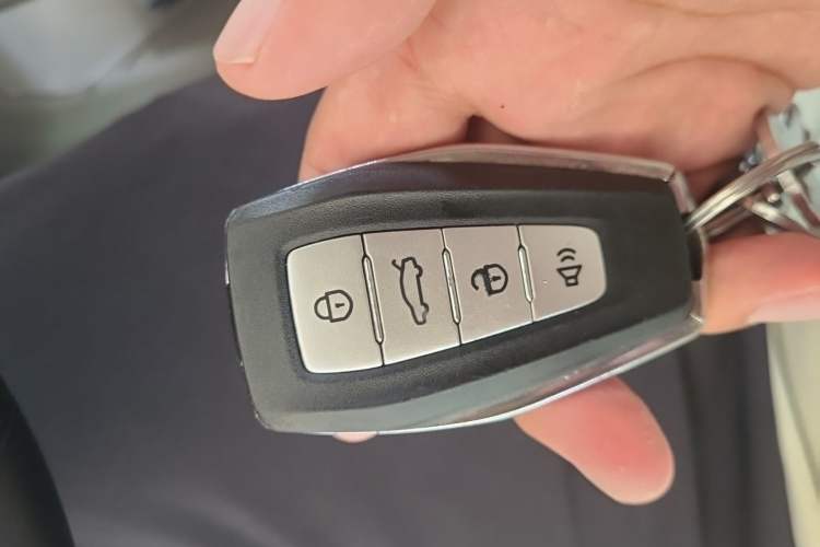 Used Geometry E Firefly 2024 401 km Fluorescent Vehicle Key