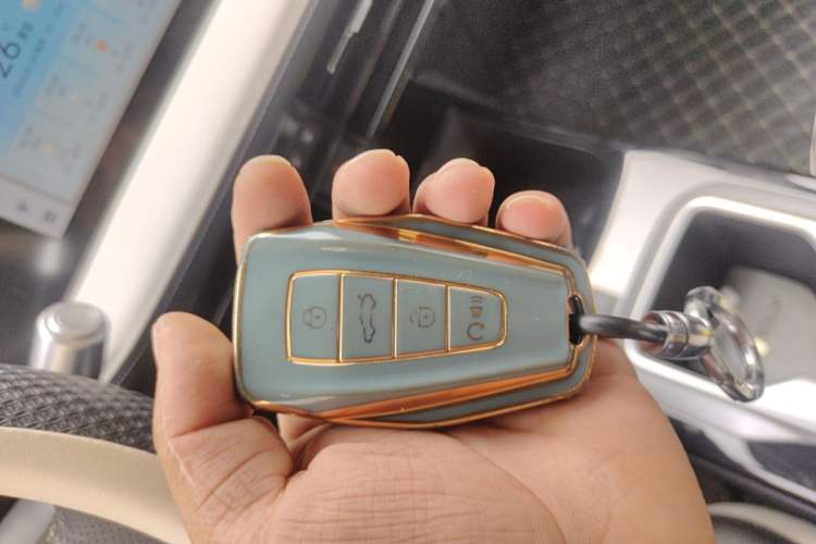 Used Geometry E Firefly 2024 301km Starlight Vehicle Key
