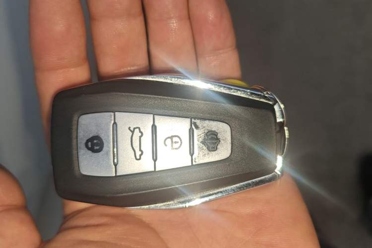 Used Geometry E Firefly 2024 301km Flowing Light Vehicle Key