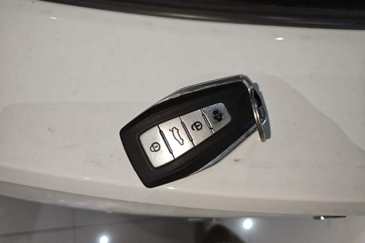 Used Geometry E Firefly 2024 301km Flowing Light Vehicle Key