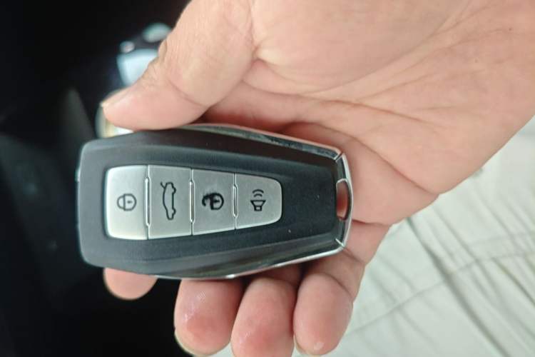 Used Geometry E Firefly 2024 301km Flowing Light Vehicle Key