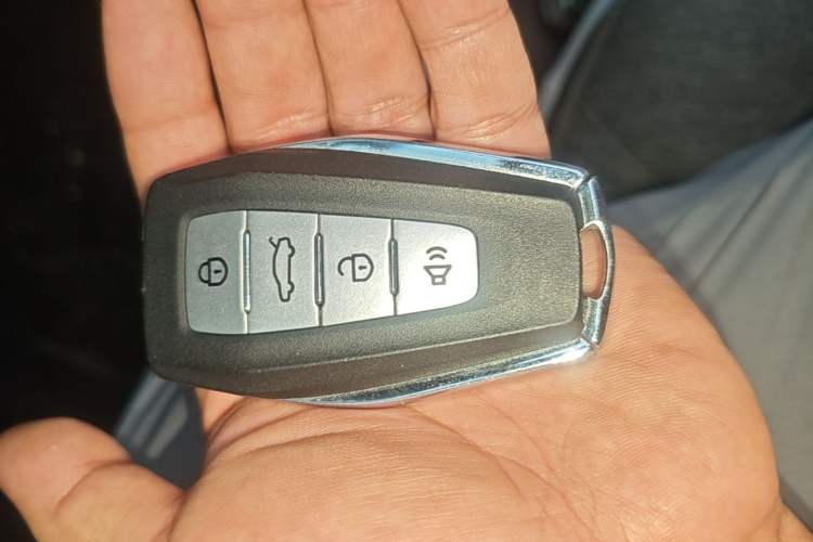 Used Geometry E Firefly 2024 301km Flowing Light Vehicle Key
