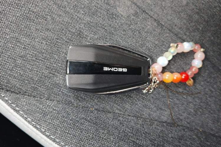 Used Geometry E Firefly 2024 301km Flowing Light Vehicle Key