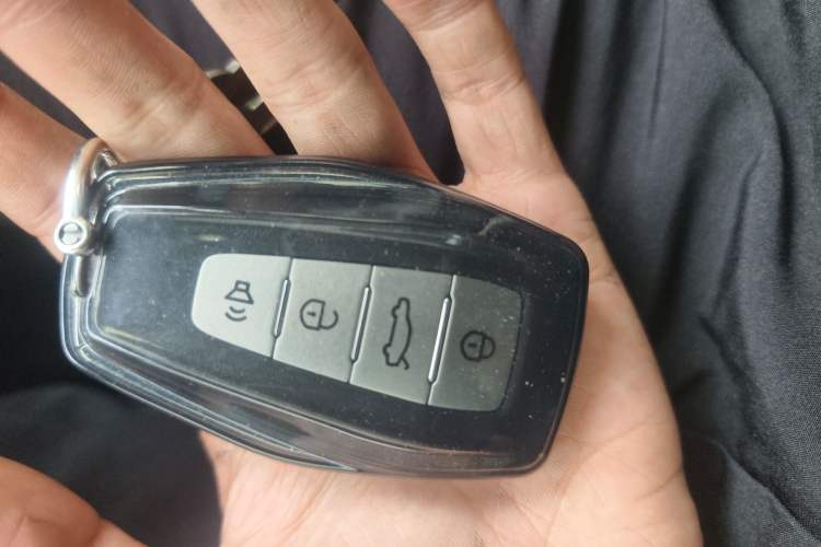 Used Geometry E Firefly 2024 301km Flowing Light Vehicle Key