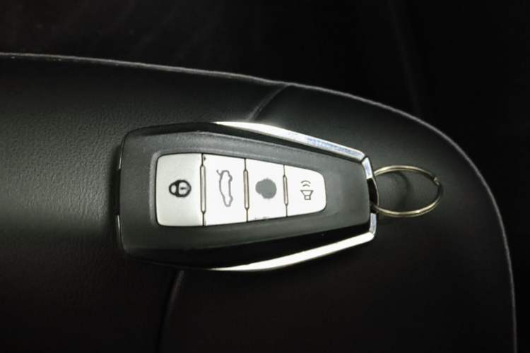 Used Geometry E Firefly 2024 301km Starlight Vehicle Key