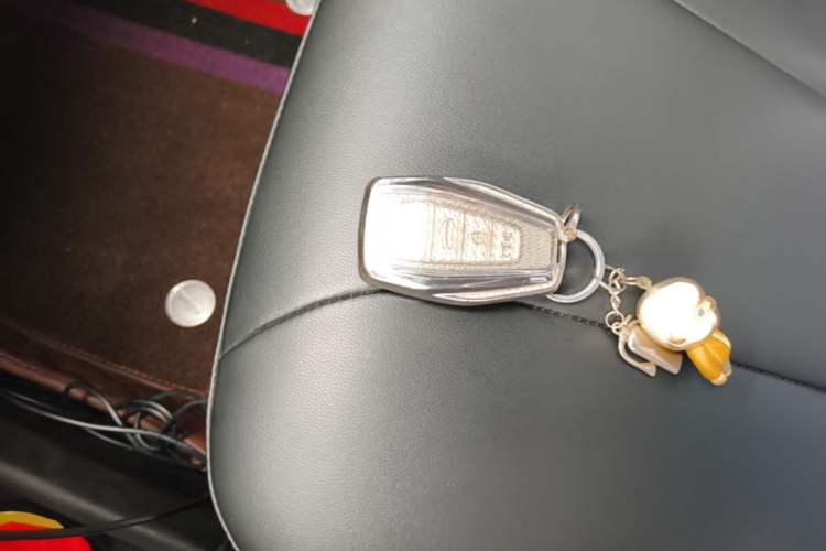 Used Geometry E Firefly 2024 301km Starlight Vehicle Key