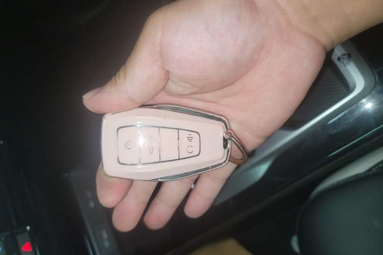 Used Geometry E Firefly 2024 401km Starlight Vehicle Key
