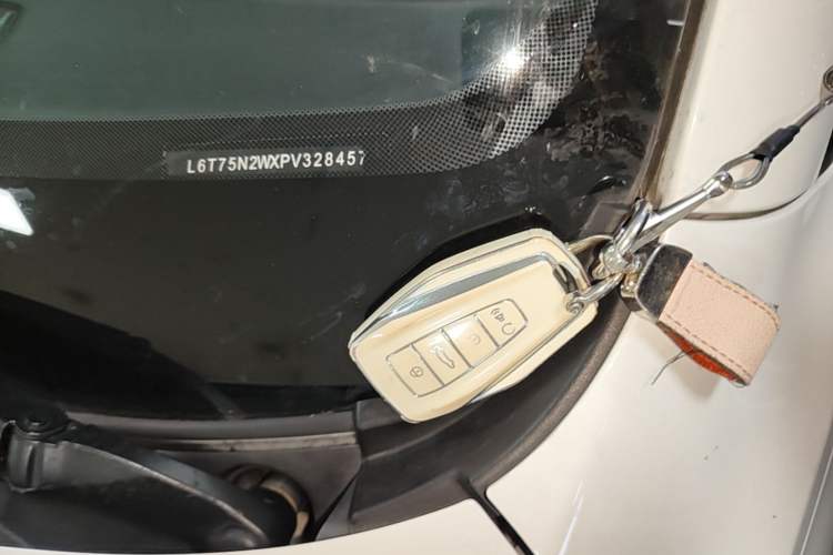Used Geometry E Firefly 2024 301km Starlight Vehicle Key