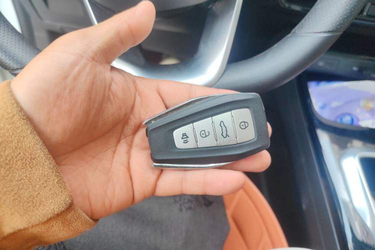 Used Geometry E Firefly 2024 301km Starlight Vehicle Key