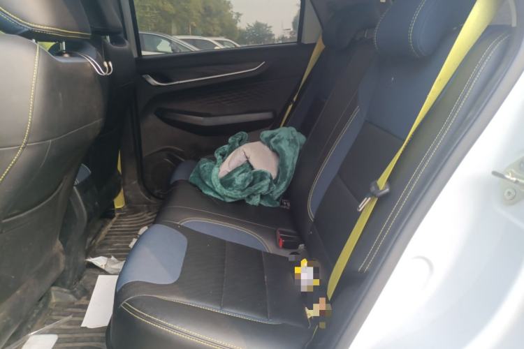 Used Geometry EX3 Kung Fu Cow 2021 Kungfu NiuNiu Left Rear Seat