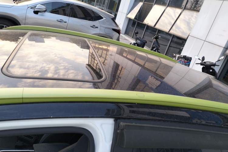 Used Geometry EX3 Kung Fu Cow 2021 Kungfu NiuNiu Roof