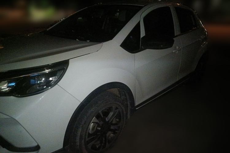 Used Geometry EX3 Kung Fu Cow 2021 Tough Bull Cow Guazi used car, China used car export, Used car for sale, Used  cars, Cheapest cars for sale