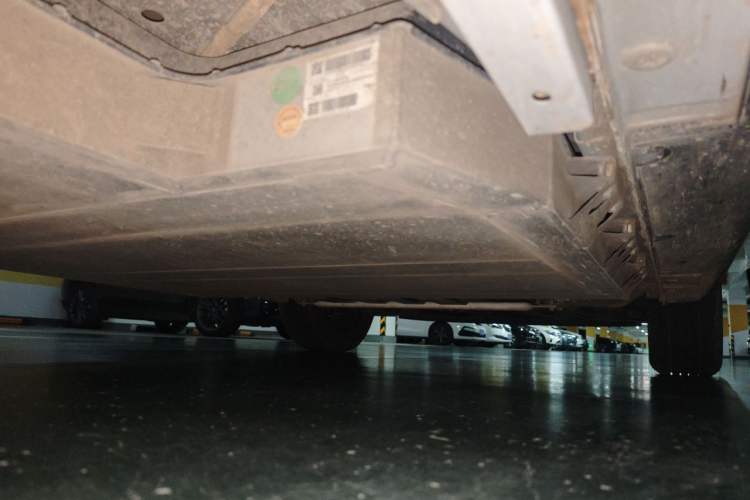 Used Geometry EX3 Kung Fu Cow 2021 Tough Bull Cow Chassis Rear Right