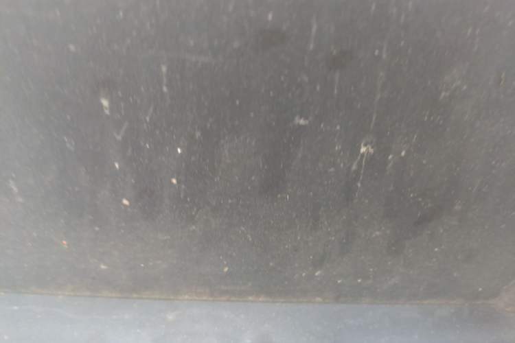 Used Geometry EX3 Kung Fu Cow 2021 Tough Bull Cow Chassis Rear