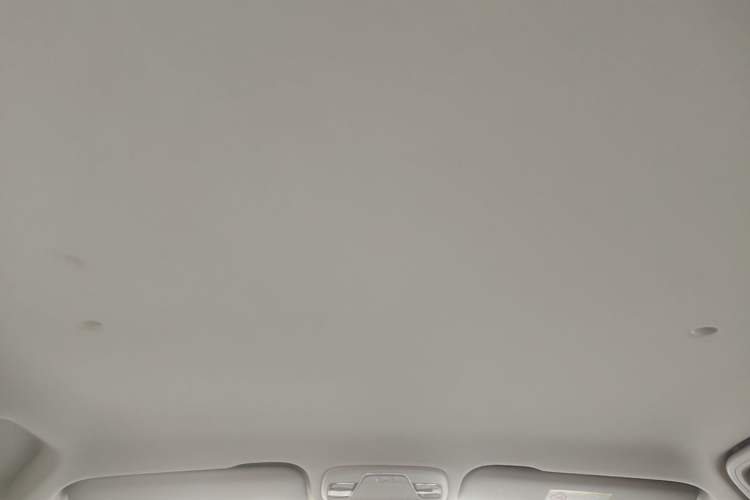 Used Geometry EX3 Kung Fu Cow 2021 Tough Bull Cow Headliner