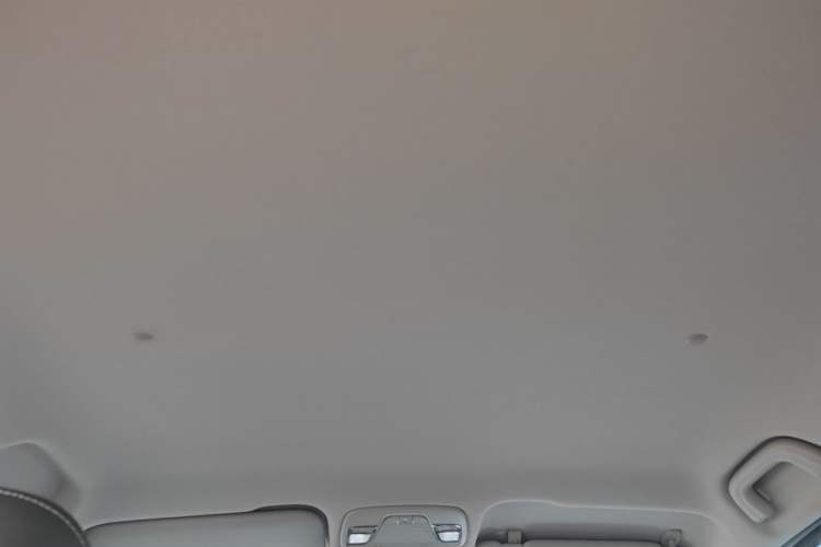 Used Geometry EX3 Kung Fu Cow 2021 Tough Bull Cow Headliner
