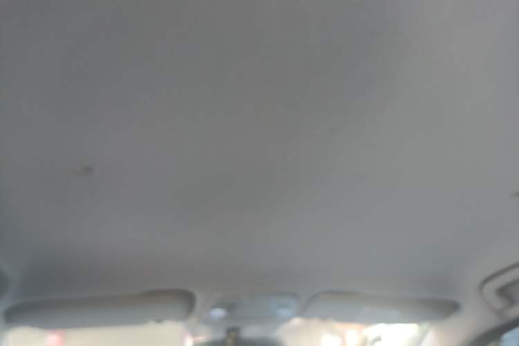 Used Geometry EX3 Kung Fu Cow 2021 Tough Bull Cow Headliner