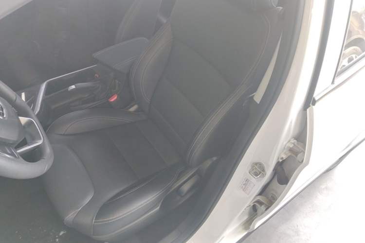 Used Geometry EX3 Kung Fu Cow 2021 Tough Bull Cow Left Front Seat