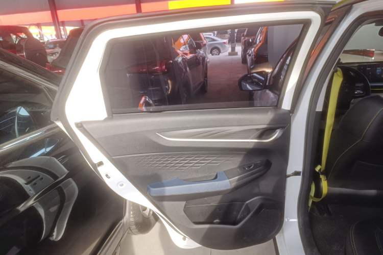 Used Geometry EX3 Kung Fu Cow 2021 Kungfu NiuNiu Left Rear Door Interior
