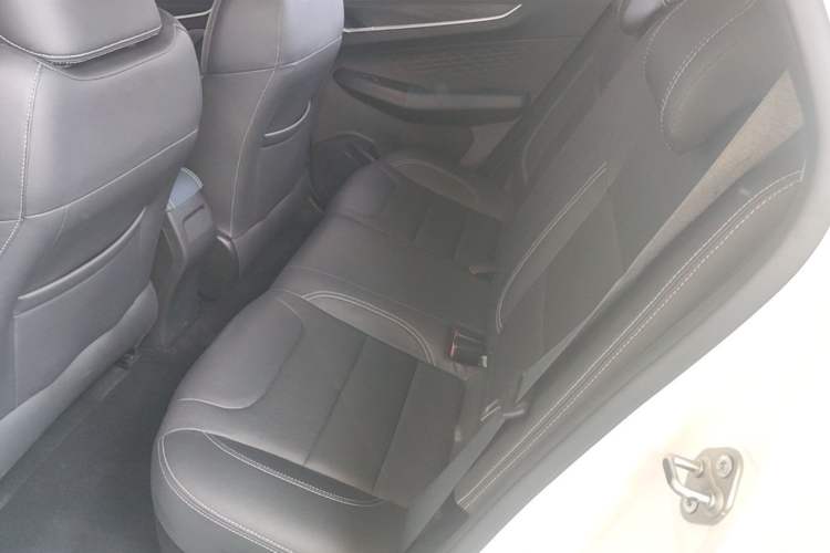 Used Geometry EX3 Kung Fu Cow 2021 Tough Bull Cow Left Rear Seat