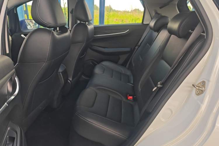 Used Geometry EX3 Kung Fu Cow 2021 Tough Bull Cow Left Rear Seat