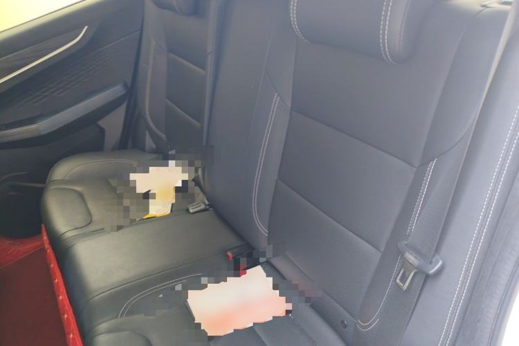 Used Geometry EX3 Kung Fu Cow 2021 Tough Bull Cow Left Rear Seat