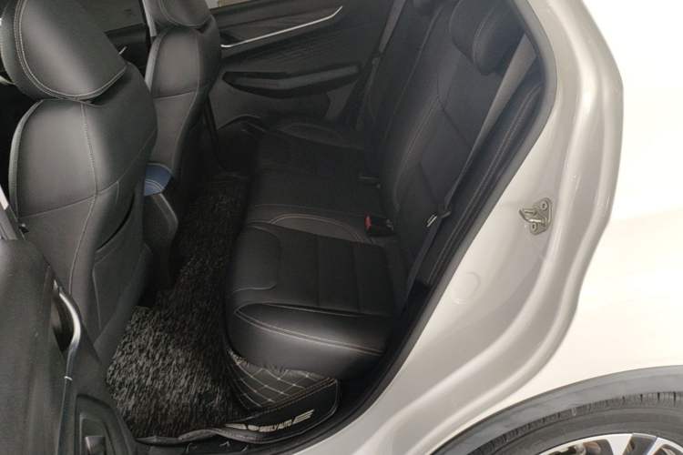 Used Geometry EX3 Kung Fu Cow 2021 Tough Bull Cow Left Rear Seat
